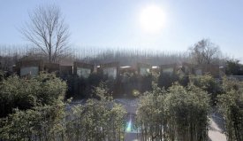 竹主題溫泉酒店：北京WHY溫泉酒店規(guī)劃設(shè)計(jì)——海森溫泉設(shè)計(jì)智庫