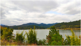 上猶潤達南湖國際旅游度假區(qū)項目正式啟動