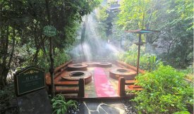 2020年新冠疫情對中國溫泉旅游行業(yè)的影響評估